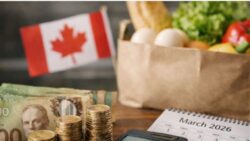 Canada $628 Grocery Rebate for March 2026: Payment Date and Eligibility Criteria Explained