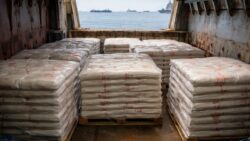Ship Carrying $90K in Rice for Toronto Food Bank Struck in the Strait of Hormuz